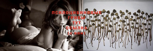 кокаин перу Гусев