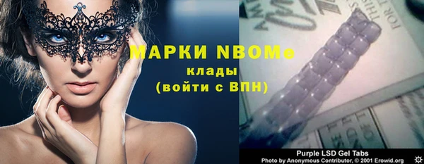 шишки Гусь-Хрустальный