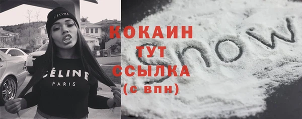 шишки Гусь-Хрустальный