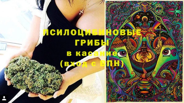 прущая мука Гусиноозёрск