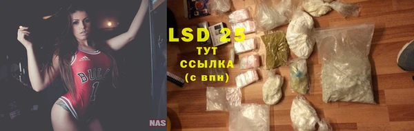 шишки Гусь-Хрустальный