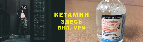 шишки Гусь-Хрустальный