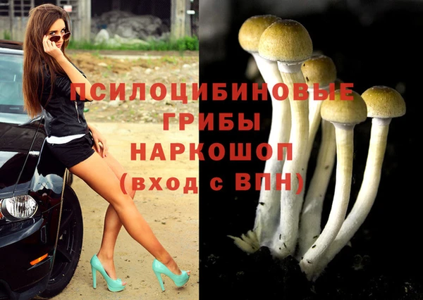 кокаин перу Гусев