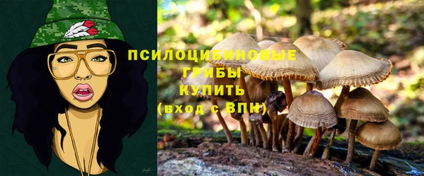 шишки Гусь-Хрустальный