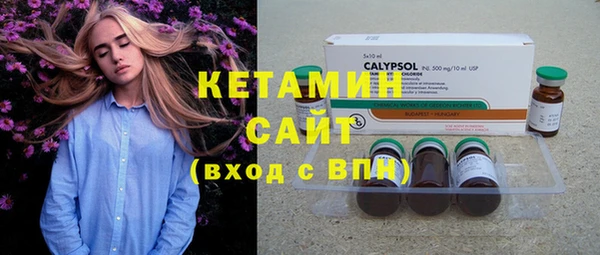 шишки Гусь-Хрустальный