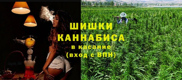 шишки Гусь-Хрустальный